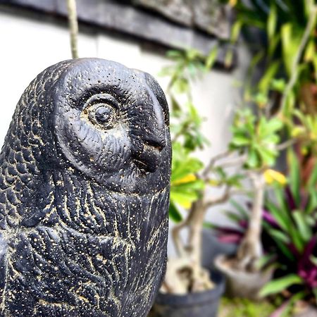 Bed and Breakfast Panda Lumbung Sanur Exteriér fotografie