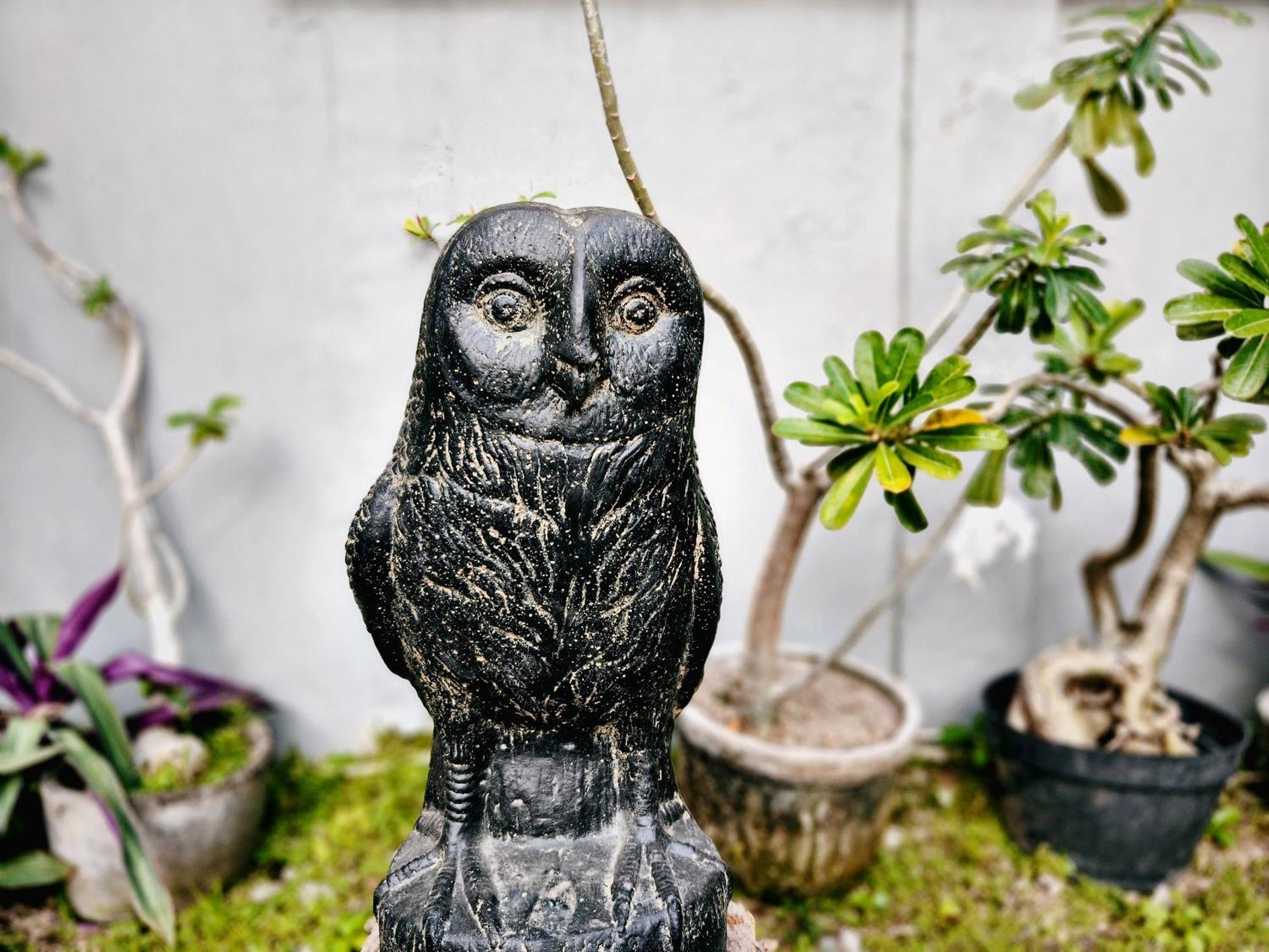 Bed and Breakfast Panda Lumbung Sanur Exteriér fotografie